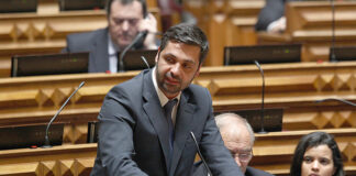 Cristóvão Norte quer presidente da CCDR do Algarve eleito por voto direto