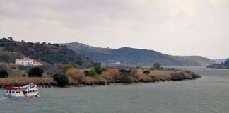 Assoreamento do Guadiana prejudica negócio dos passeios turísticos