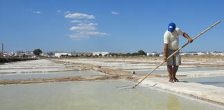 Comissão Europeia atribui Denominação de Origem Protegida ao sal e flor de sal de Tavira