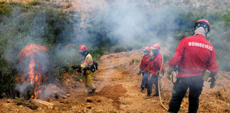 Algarve com 445 combatentes na fase mais crítica dos incêndios