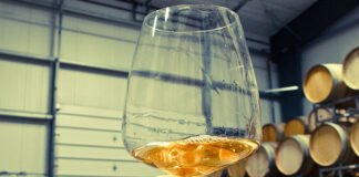 Britânicos procuram investidor para produzir vinho frutado de laranja em Silves