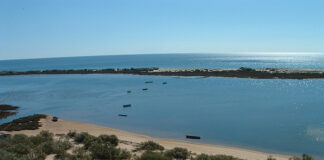 Associação Odiana quer turismo de natureza a desenvolver Baixo Guadiana