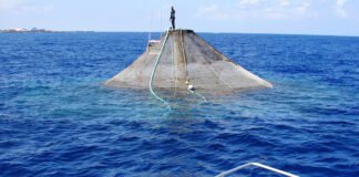 Procura para aquacultura no Algarve foi superior em 40% às áreas disponíveis