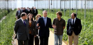 Cavaco Silva no Algarve desafia jovens a fazerem “experiência na agricultura” em vez de emigrarem