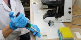 Universidade do Algarve vai acolher delegação da futura Associação Nacional de Ciências Biomédicas