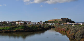 Quercus diz que criação da Reserva Natural do Sapal de Castro Marim “foi importante”, mas falta explorar turismo
