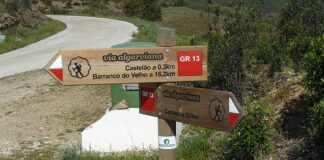 Via Algarviana com um ano de plano de contingência para definir modelo de gestão