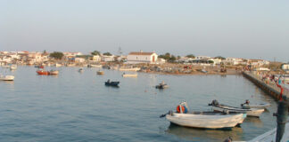 PSD e CDS apresentam projeto de “valorização” da ria Formosa