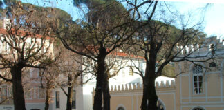Monchique aposta em atrair população para inverter desertificação
