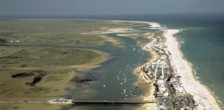 Governo reafirma necessidade de demolir habitações no âmbito do Polis Ria Formosa