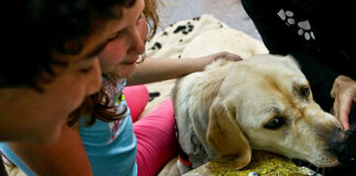 Alunos de Silves superam dificuldades na leitura em sessões com cães