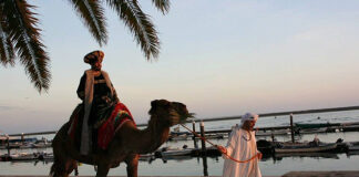 Dias árabes regressam à zona histórica de Faro a partir de quarta-feira