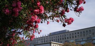 Hospital de Sta. Maria diz que utente que regressou a Faro sem cirurgia teve o “melhor encaminhamento”
