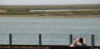 “Moda” dos ‘hostels’ chega a Faro para acolher novo tipo de turista