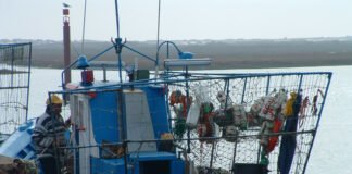 Associação alerta que interdições colocam frota algarvia de pesca com ganchorra em risco