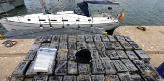 Cocaína apreendida ao largo do Sagres tem valor estimado de 19 milhões de euros