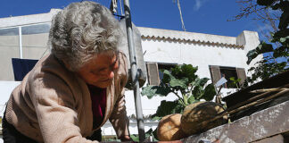 Rota da cal e do barro recupera memória e tradições do interior algarvio