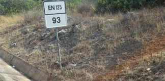 Advogada britânica apela a boicote turístico por causa de maus tratos a cavalos no Algarve (atualizada)