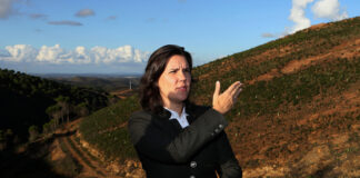 Ministra da Agricultura destaca recuperação na serra algarvia após incêndio de 2012 como exemplo a seguir