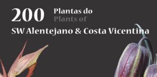 Guia dá a conhecer 200 plantas do sudoeste alentejano e costa vicentina