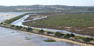 Ambientalistas contra Núcleo de Desenvolvimento Turístico na Ria de Alvor