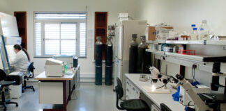 ‘Ranking’ internacional coloca Universidade do Algarve no topo nacional em medicina