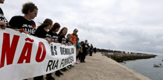 Movimento decide regressar a ações de protesto contra demolições na Ria Formosa