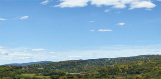 Projeto turístico Quinta da Ombria, com 30 anos, abre em 2018