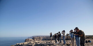 Turismo do Algarve na Feira Internacional de Turismo de Ornitologia
