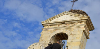 Arco da Vila de Faro passou a poder ser visitado