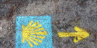 Encontro dedicado ao Caminho para Santiago de Compostela desde Faro realiza-se este fim-de-semana