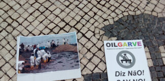 Movimento Algarve Livre de Petróleo dicorda da suspensão de providência cautelar