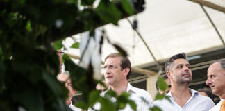 Passos Coelho diz que exoneração na CCDR Algarve “foi um saneamento político”