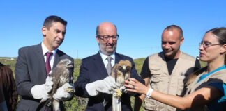 Festival de observação de aves combate sazonalidade no Algarve