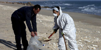 Mancha de espuma que atingiu as ilhas-barreira da Ria Formosa composta por óleo de palma