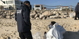 Concluída limpeza de detritos de óleo de palma que deram à costa nas ilhas-barreira da ria Formosa