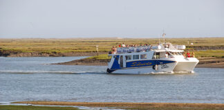 Câmara de Olhão vai candidatar Ria Formosa a património da UNESCO