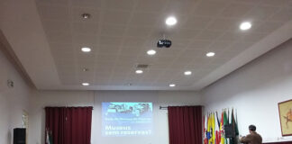 Museus do Algarve discutem futuro após 10 anos de trabalho em rede