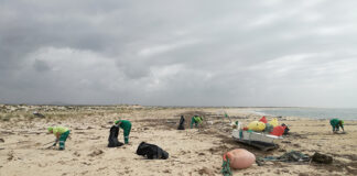Câmara de Faro organiza ações de limpeza na ria Formosa