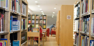 Biblioteca Municipal de Faro muda-se para a praia no verão