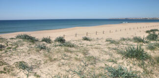 Praia dos Salgados interdita a banhos por contaminação microbiológica