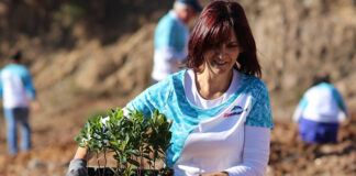 Zoomarine vai plantar 10.000 árvores com ajuda de cerca de 400 voluntários