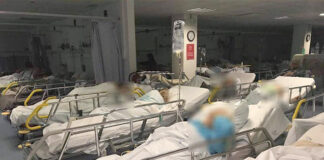 Turismo do Algarve pede ao Governo solução urgente para saúde na região