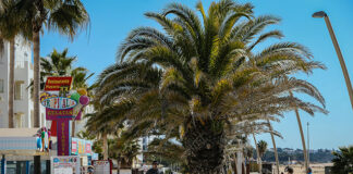 Artesãos contra saída de feira do Calçadão de Quarteira temem quebra de rendimento