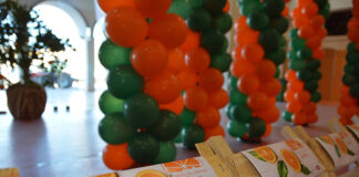 Cuca Roseta e António Zambujo na 3.ª Mostra Silves Capital da Laranja