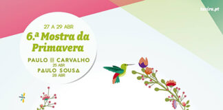 Programa “Viva a Primavera” apoia iniciativa cultural e talentos em Tavira