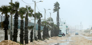 Mau tempo: PSD recomenda ao Governo atuações de emergência na orla costeira do Algarve