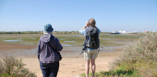 Associação da hotelaria diz que taxa turística nos municípios do Algarve é “desadequada”