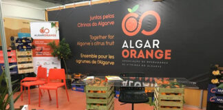Produtores lançam organização para promover citrinos algarvios com foco no turismo