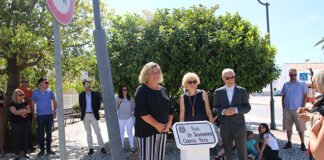 Atribuição toponímica homenageou Teodomiro Neto em S. Bartolomeu de Messines
